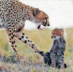 Аватара пользователя