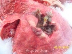  Сельское хоз-во или фермерство как способ заработка Том 1 - 100_3651.JPG