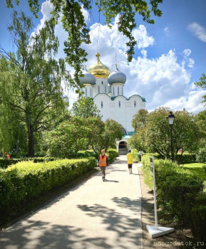 Фотографы - познакомимся? И познакомим с нами окружающих :-  - 08FBB795-9A49-4145-8CE7-E82B4EFE5ABA.jpeg